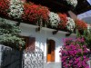 CHALET TANIA